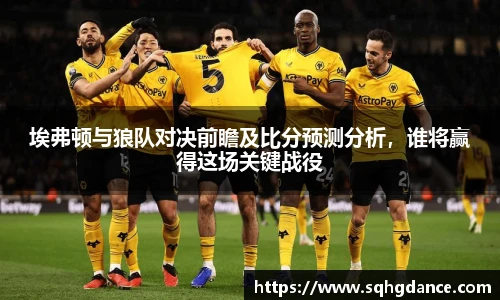 埃弗顿与狼队对决前瞻及比分预测分析，谁将赢得这场关键战役
