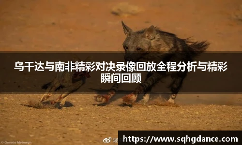 乌干达与南非精彩对决录像回放全程分析与精彩瞬间回顾