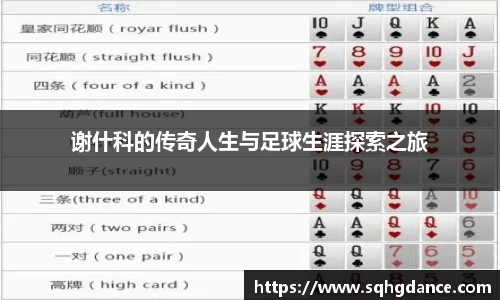 谢什科的传奇人生与足球生涯探索之旅