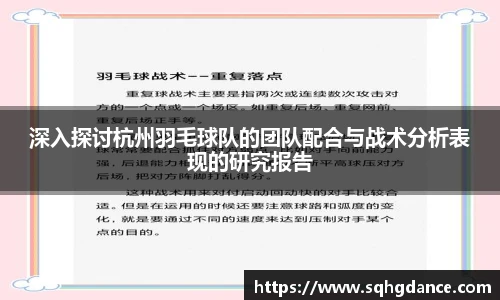 深入探讨杭州羽毛球队的团队配合与战术分析表现的研究报告